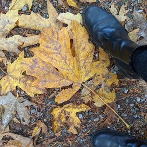 Meet your Posher, Sara